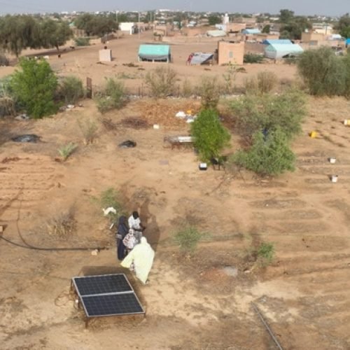 Étude participative pour l&rsquo;identification d&rsquo;initiatives génératrices de revenus et de stratégies de résilience au changement climatique intégrant la perspective de genre dans le cadre du projet Django